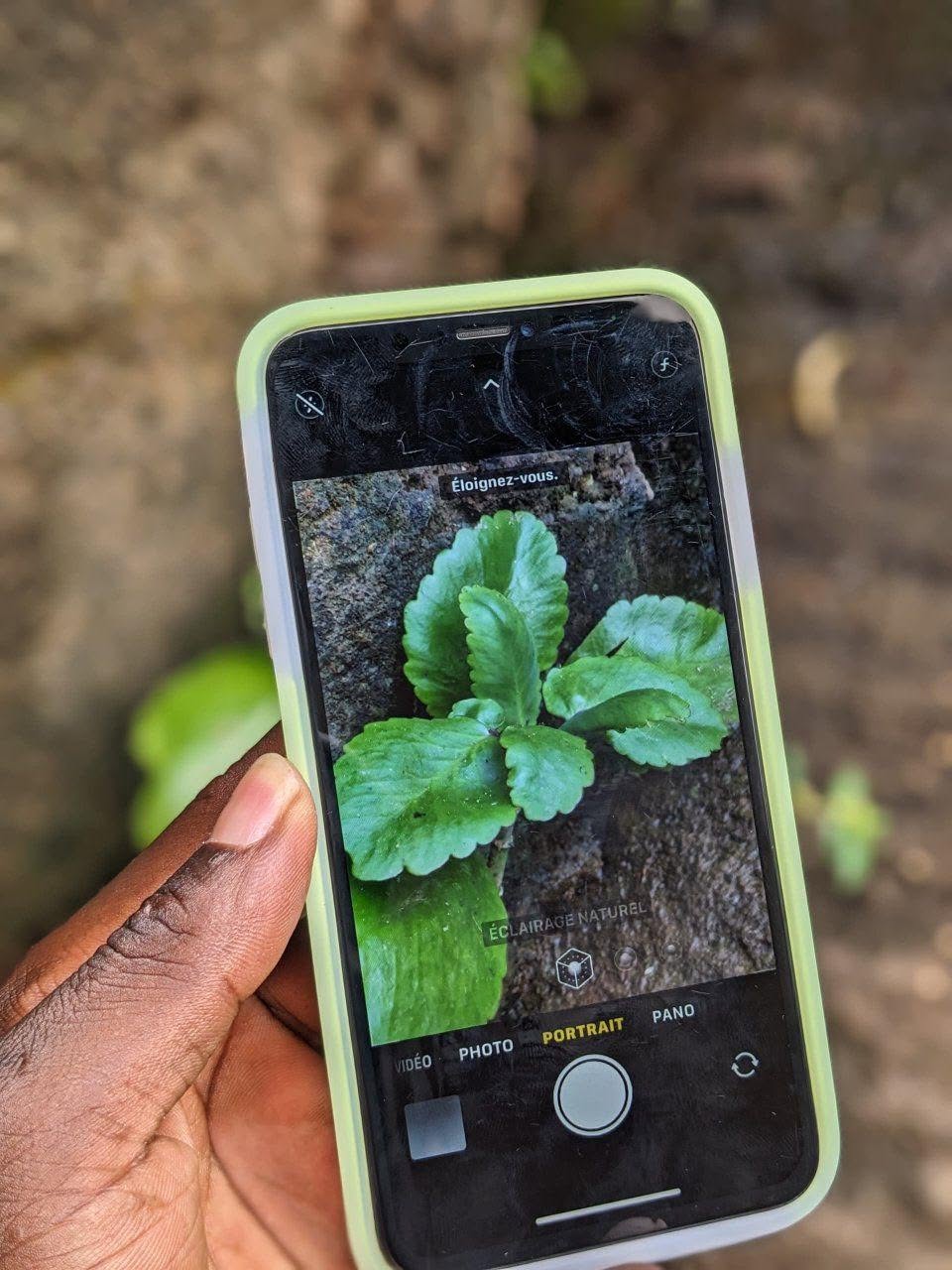 iPhone xsmax