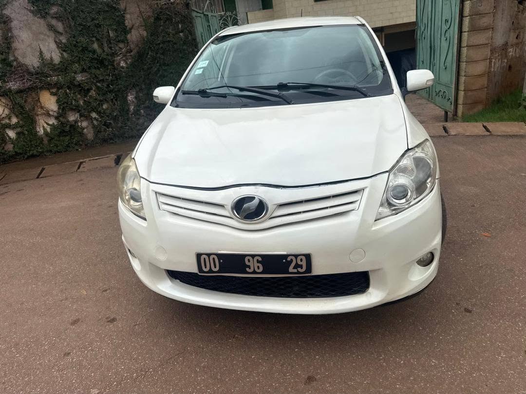 Chocho propre sur Yaoundé